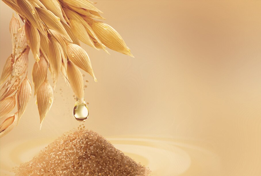 avena y azucar avena y azucar