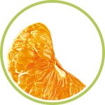 Mandarina