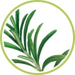 Romero, ingrediente natural